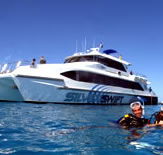 Silver Swift - VIC Tourism