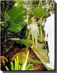 Daintree Rainforest River Trains - VIC Tourism 1