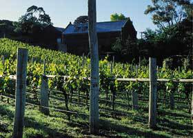 Goona Warra Vineyard - VIC Tourism 1