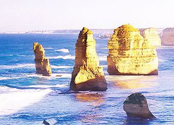 Bunyip Tours - VIC Tourism 3