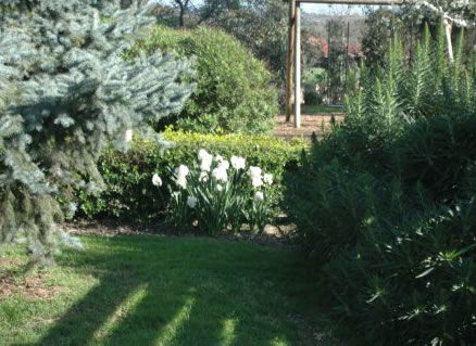 The Old Cheese Factory - VIC Tourism 2
