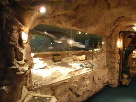 The National Opal Collection - VIC Tourism 2