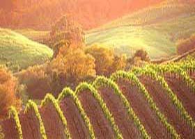 Meridian Tours - VIC Tourism 2