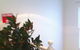 Calma Spa & Skin Clinic - thumb 1