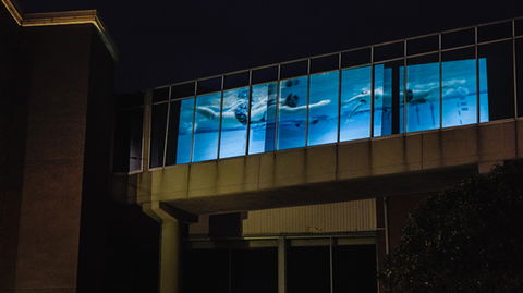 Kingston Arts - VIC Tourism 8