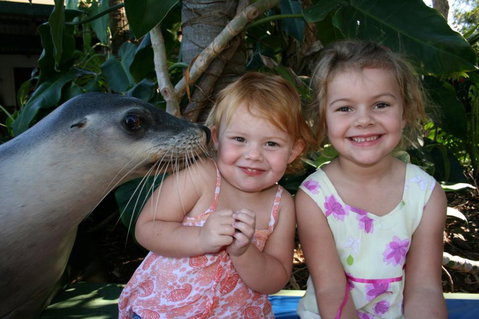 Dolphin Marine Magic - VIC Tourism 0