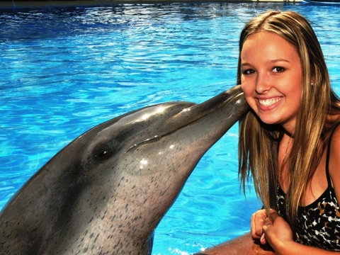Dolphin Marine Magic - VIC Tourism 3