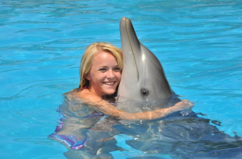Dolphin Marine Magic - VIC Tourism 5