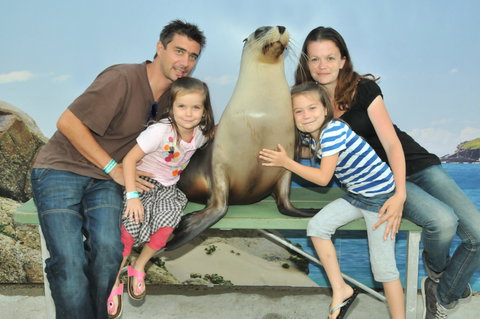 Dolphin Marine Magic - VIC Tourism 6