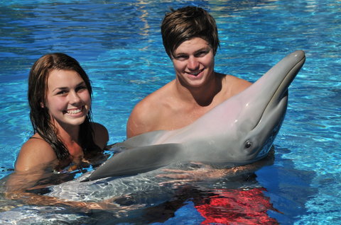 Dolphin Marine Magic - VIC Tourism 8