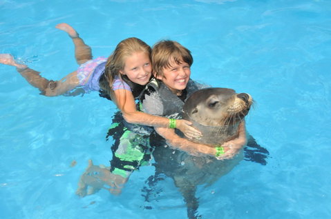 Dolphin Marine Magic - VIC Tourism 9