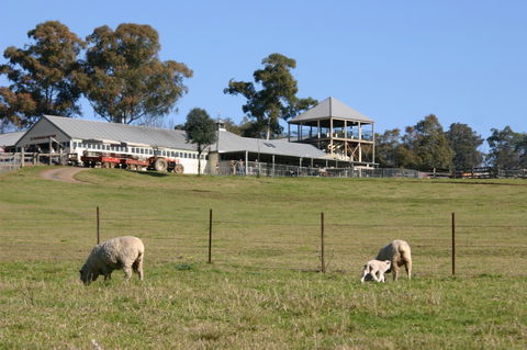 Calmsley Hill City Farm - VIC Tourism 3