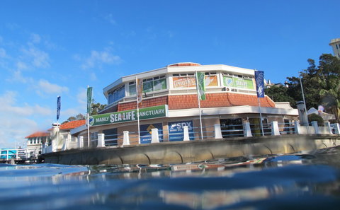 Manly SEA LIFE Sanctuary - VIC Tourism 2