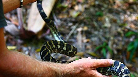 Queensland Day Tours - VIC Tourism 1