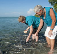 Aquascene Fish Feeding Sanctuary - VIC Tourism