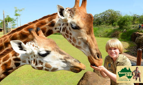 Australia Zoo - VIC Tourism 4