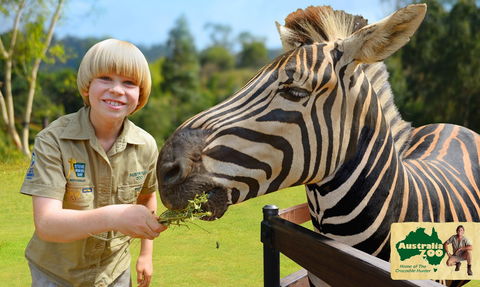 Australia Zoo - VIC Tourism 5