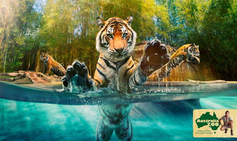 Australia Zoo - VIC Tourism 9