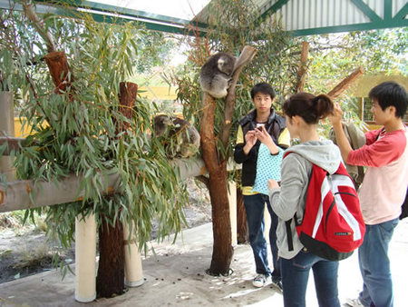 Caversham Wildlife Park - VIC Tourism 4