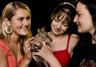 Cairns Night Zoo - VIC Tourism 1