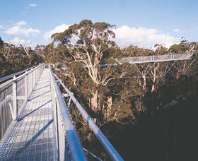  VIC Tourism