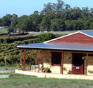 Vineyard 28 - VIC Tourism