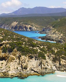  VIC Tourism
