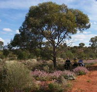 Karlkurla Bushland Park - VIC Tourism
