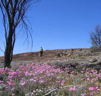 Talgomine Reserve - VIC Tourism