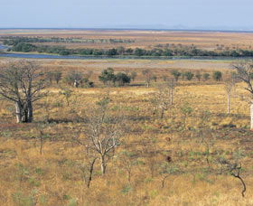 Marglu Billabong - VIC Tourism 0