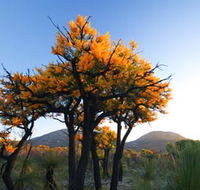 Cape Le Grand National Park - VIC Tourism