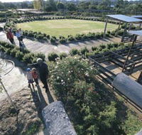 Kojonup Rose Maze - VIC Tourism