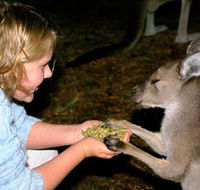 Discovery Bay's Walk on the Wild Side - VIC Tourism