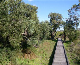 Kepwari Trails Wetland Wonderland - VIC Tourism 0