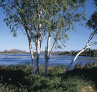 Celebrity Tree Park - VIC Tourism