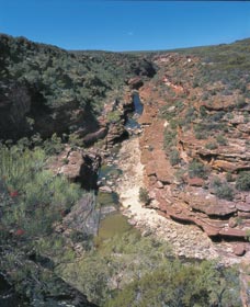Ross Graham Lookout - VIC Tourism 0