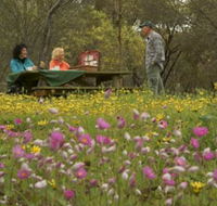 Gwambygine Park - VIC Tourism