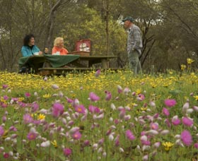 Gwambygine Park - VIC Tourism 0