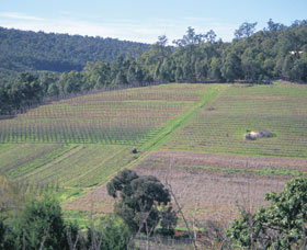 Darling Range - VIC Tourism 0
