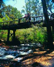Barrabup Pool - VIC Tourism 0