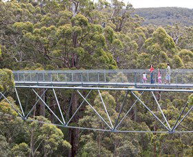 Walpole Wilderness Discovery Centre - VIC Tourism 0