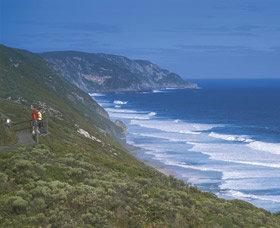 Sandpatch - VIC Tourism 0