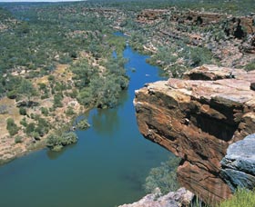 Hawk's Head Lookout - VIC Tourism 0