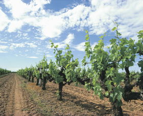 Karridale WA VIC Tourism