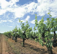 Blackwood Meadery - VIC Tourism
