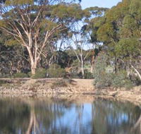 Merredin Railway Dam - VIC Tourism