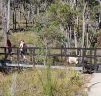 Forest Path Crooked Brook - VIC Tourism