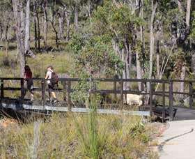 Forest Path, Crooked Brook - VIC Tourism 0
