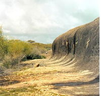 Totadgin Dam Reserve - VIC Tourism