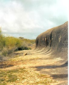 Totadgin Dam Reserve - VIC Tourism 0
